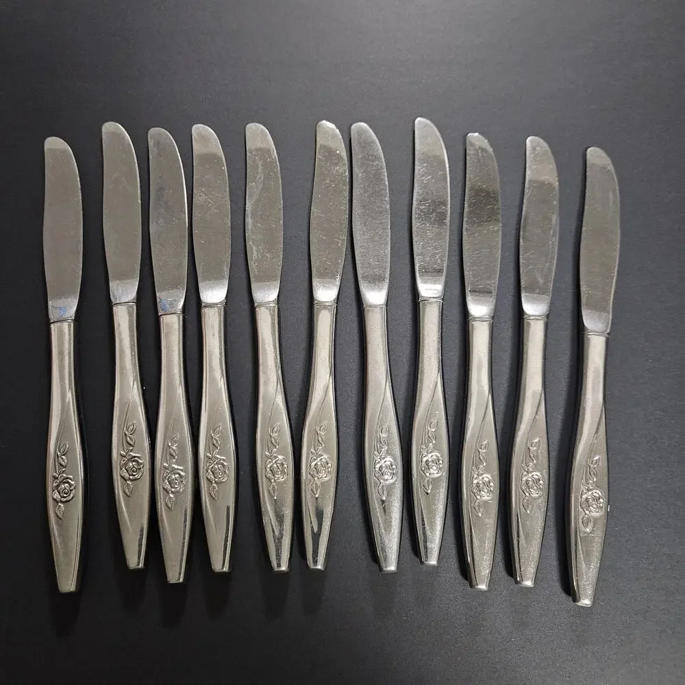 Oneida Lasting Rose Modern Set Of 11 Stainless Replacement Butter Knives